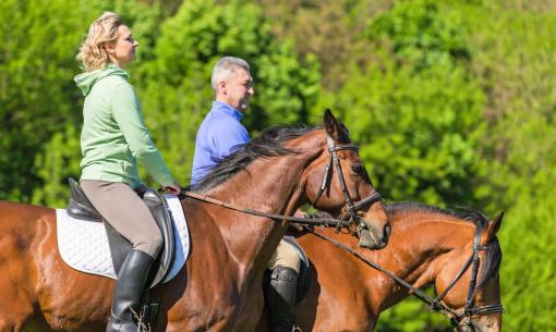 Zwei Personen reiten Pferde in einer grünen Umgebung.